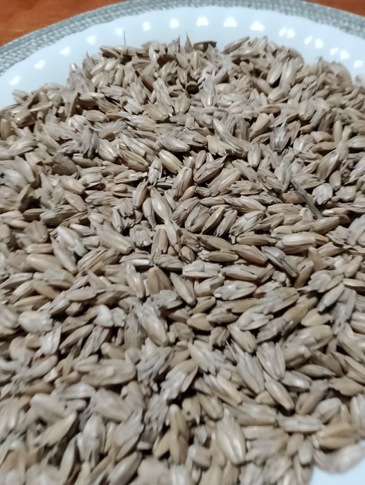 Łuska (łupa) orkiszowa, cena za 1 kg po mieleniu orkiszu