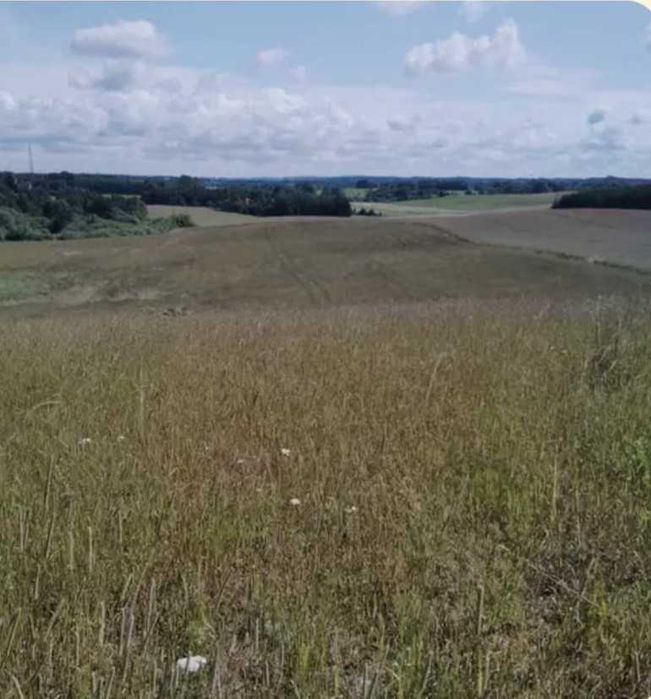 Sprzedam ziemię rolną 6,76 ha
