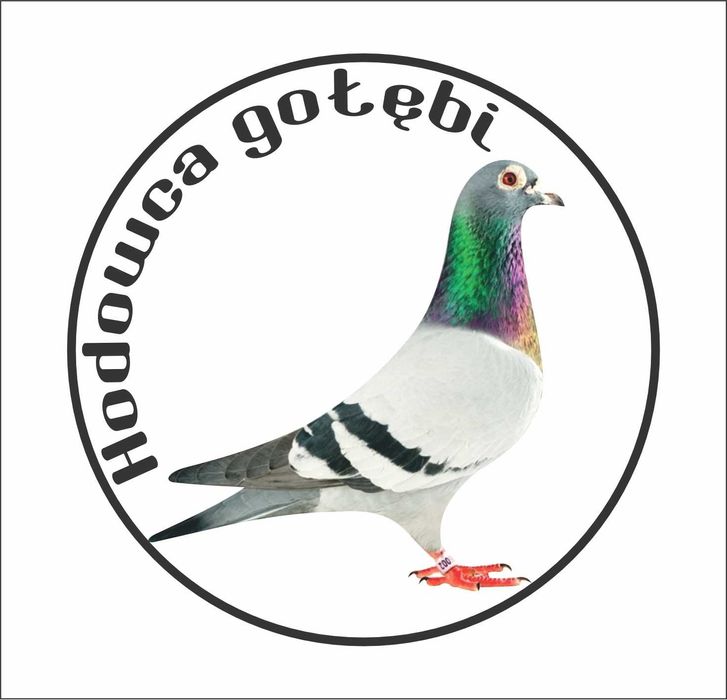 Naklejka okrągła z gołębiem hodowca z nazwą okręgu kolorowe 10x10cm