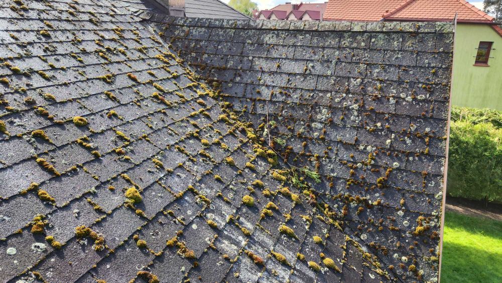 Mycie i malowanie dachów, mycie elewacji, kostki, paneli PV