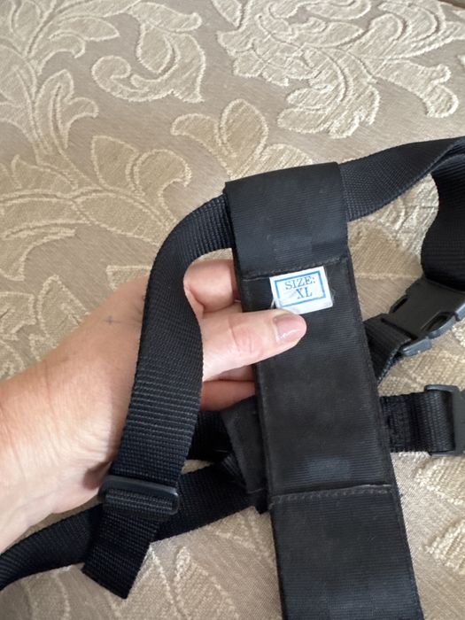 Este é um peitoral de segurança para carro para animais de estimação