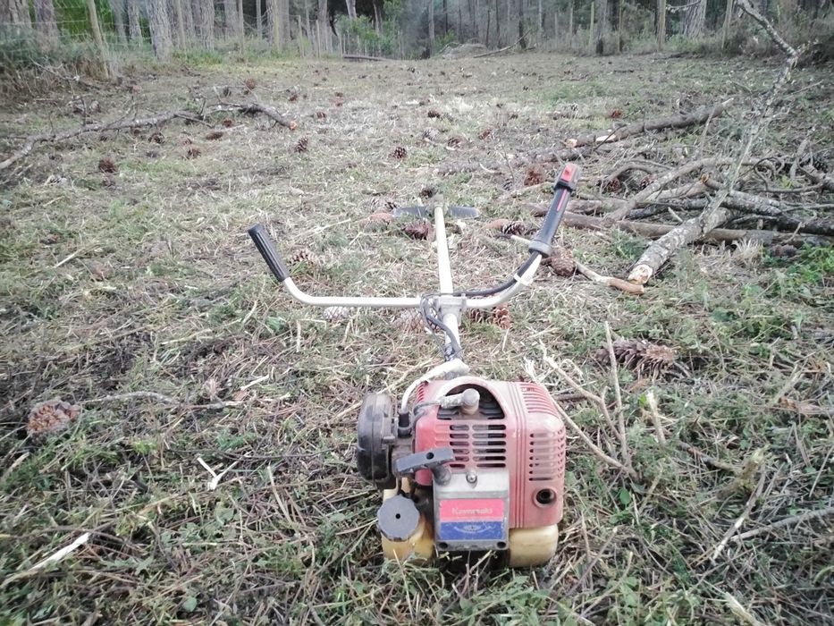 Limpezas Terrenos /Demolições/Escavações /