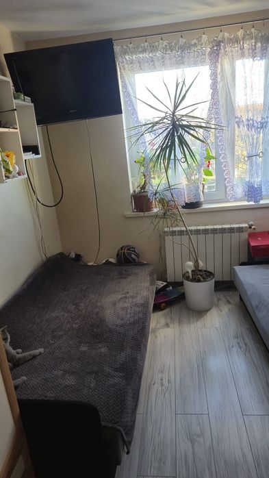 Mieszkanie  bezczynszowe  37m2