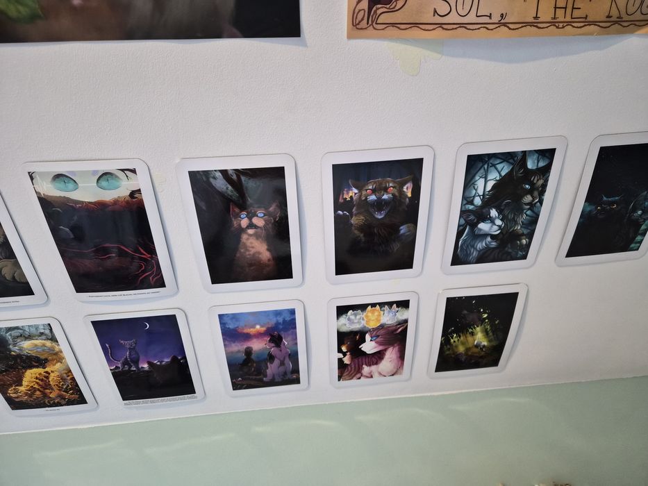 Sprzedam dodatki wojownicy Erin hunter