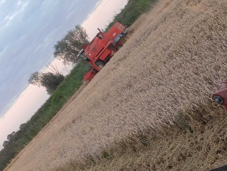 Sprzedam Bizon Rekord  ZO 58