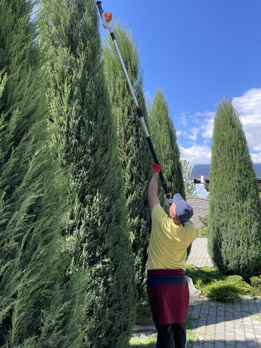 Озелененя територій.  Ландшафтний дизайн. Рулонний газон.