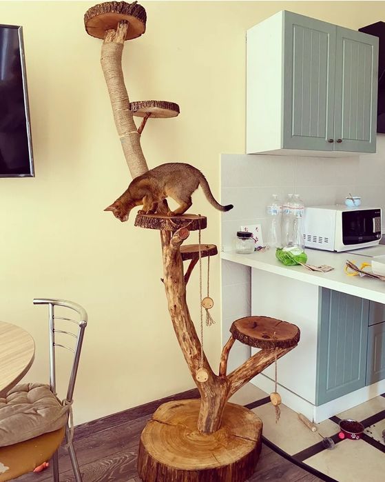 Еко кігтеточка дряпка когтеточка дряпалка лежанка