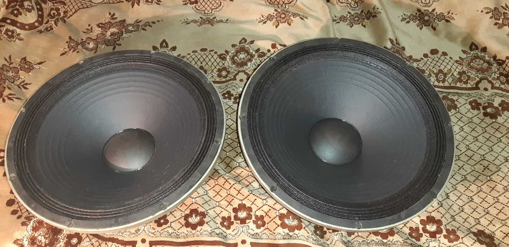 Динамікі EV EVS 15L