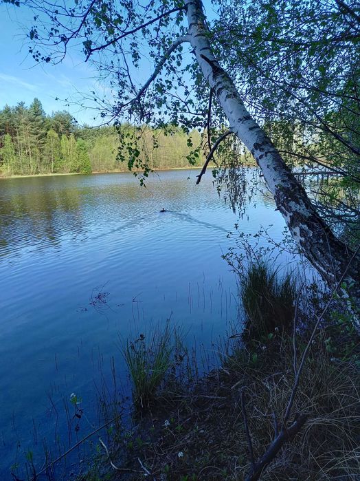 Domek nad jeziorem na Kaszubach, wędkowanie, pomost