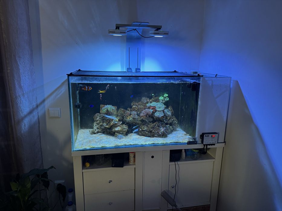 Aquário 200L 100x45x45