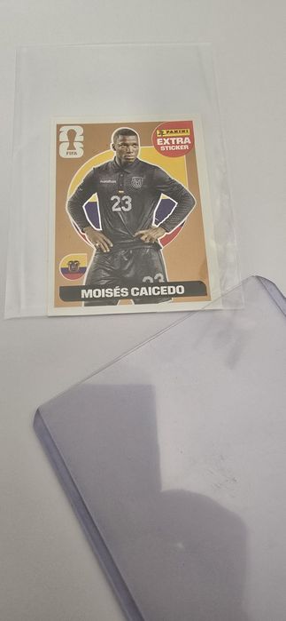 Moisés Caicedo Bronze Extra Sticker Panini Mundial 2026