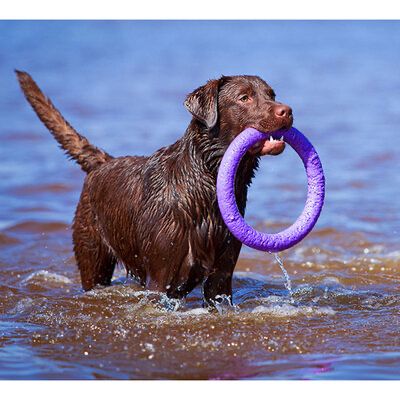 Тренувальний снаряд Puller