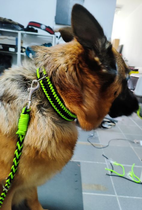 Coleira paracord personalizáveis