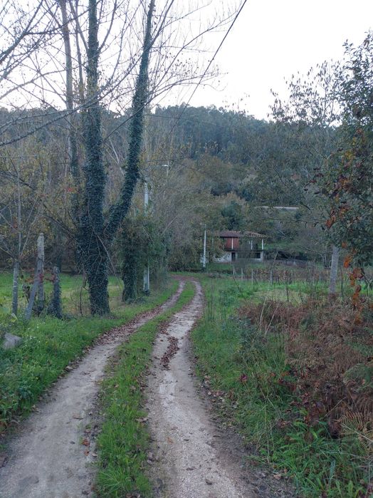 Terreno/Quinta de Lazer com 2.580 m² junto à Ribeira de Juncal | Soalhães