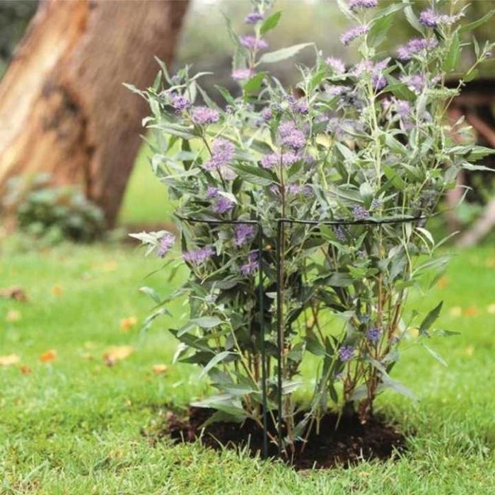 Podpórka do roślin ogrodowych 45 cm metalowa pergola drabinka