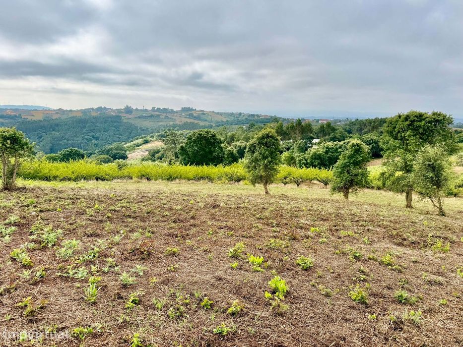 Terreno para Construção com 2.480 m2 - Usseira, Óbidos – Portugal