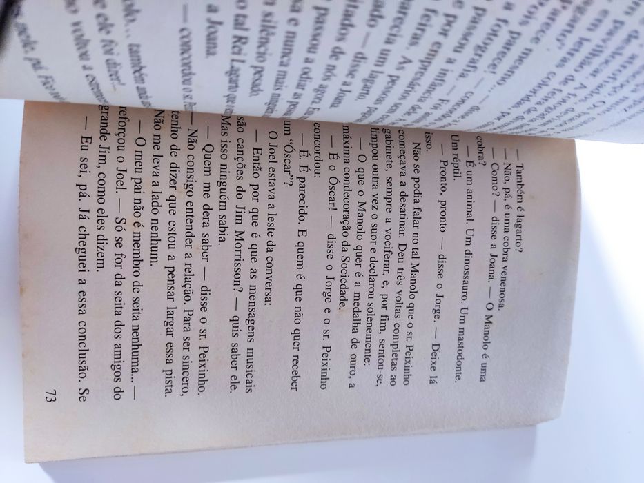 Livro O rei lagarto de triângulo jota