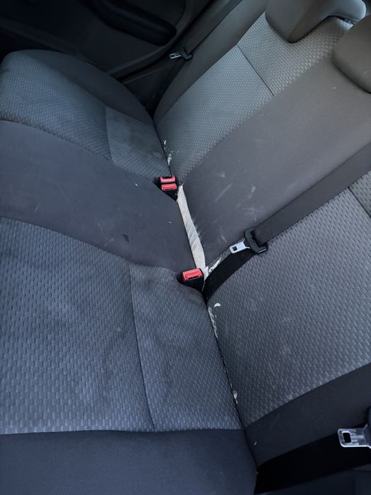 ford focus.
