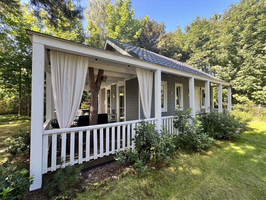 Domek Sasino „Mojo Miodno Checz”