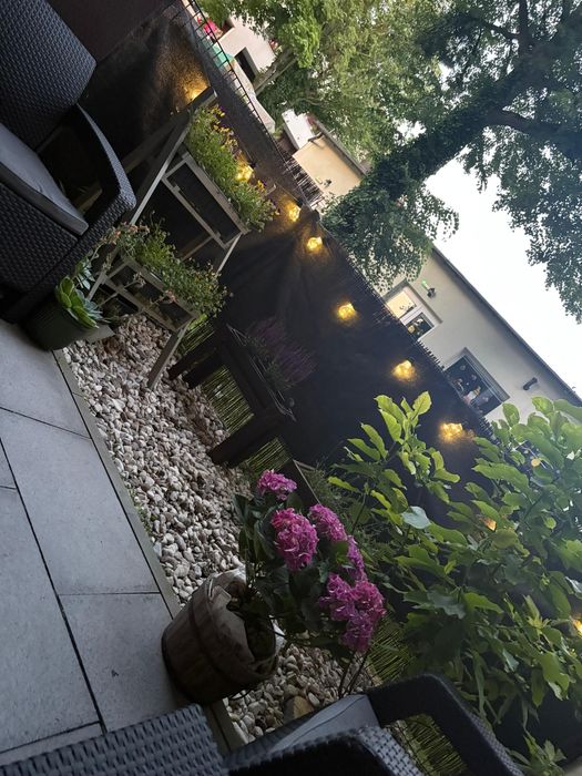 Wynajmę mieszkanie 40m2 z ogródkiem 12m2 od 1 stycznia