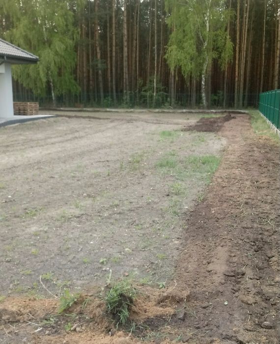 zakładanie trawników