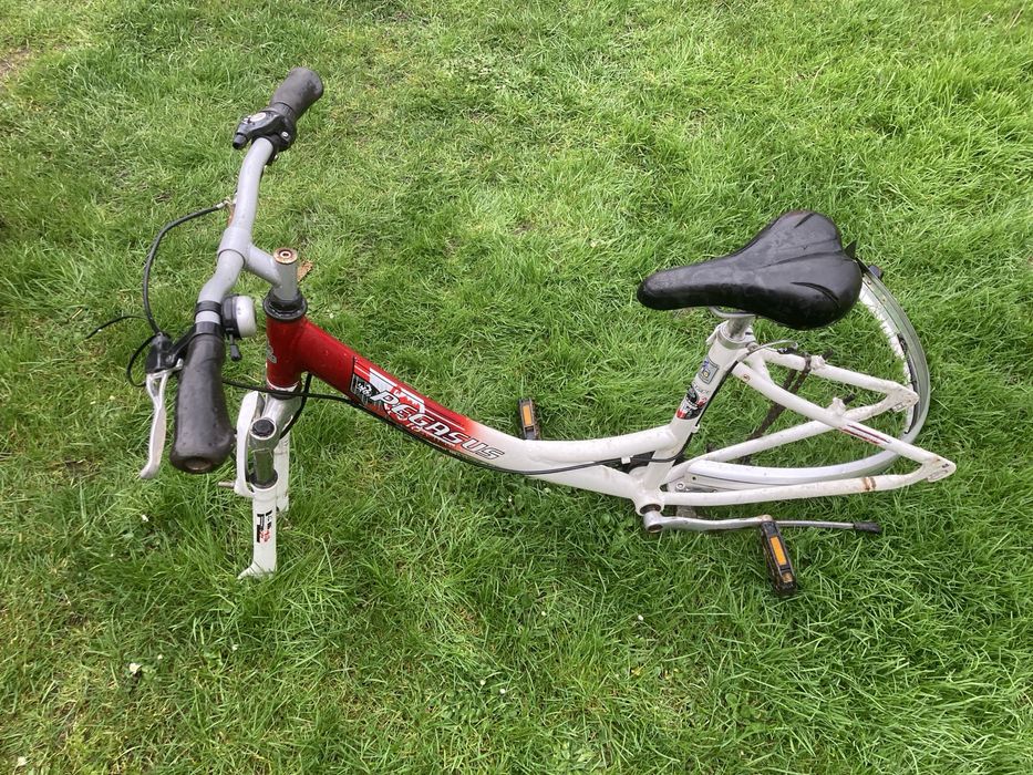 Rower miejski Pegasus