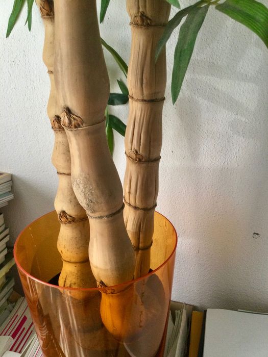 Planta artificial BAMBU