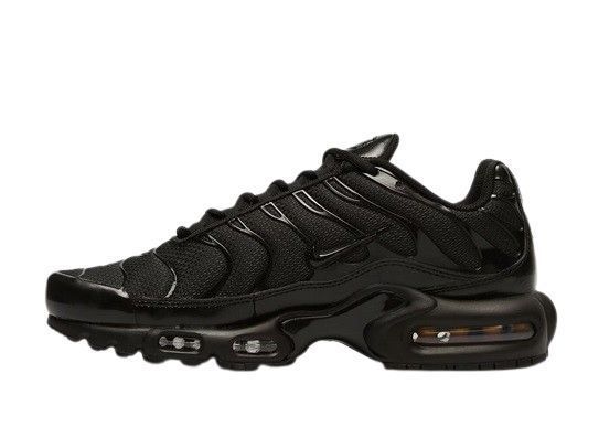 Nike Air Max Plus 45