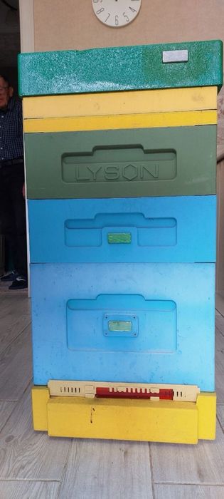 Вулики Lyson 10-рамкові