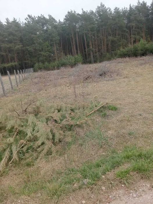 Działka na sprzedaż niedaleko parku suntago - Widok 2