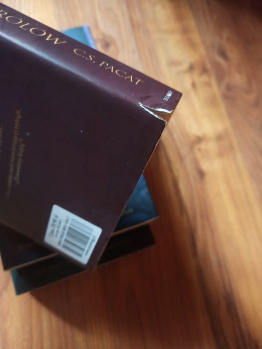 Książęcy gambit, Narodziny królów, Zniewolony książę