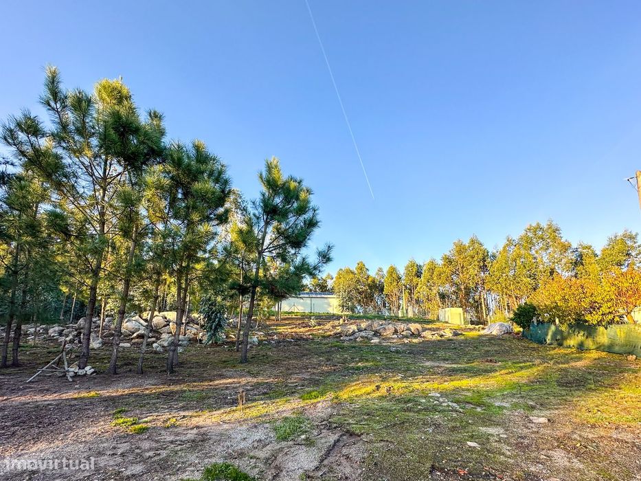 Terreno  Venda em Tamel (Santa Leocádia) e Vilar do Monte,Barcelos