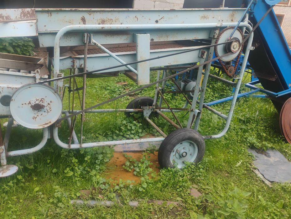 Sortownik do ziemniaków PUCK