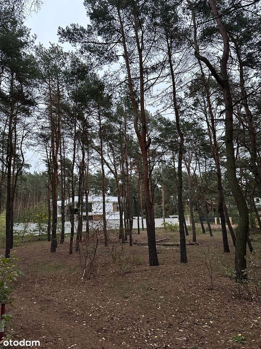 Piękna działka z lasem 1469m2 w najlepszej lokalizacji w Markach!