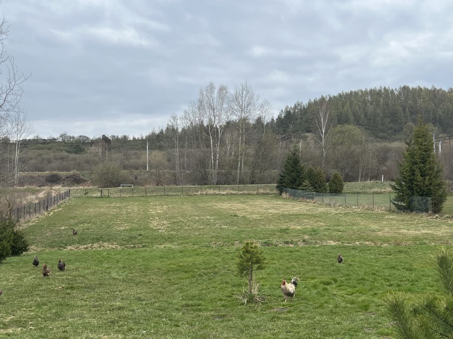 Na sprzedaz dzialka zagnansk