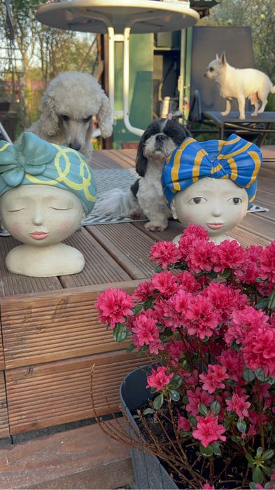 Piekna dzialka RoD ul.do przystani -moja perelka