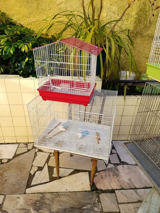 Gaiolas para canários