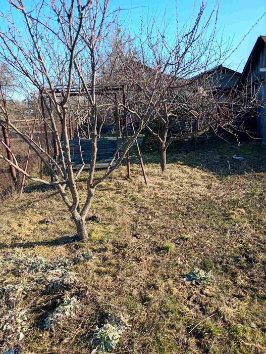 Продається будинок від власника з садом і великим городом
Київська обл