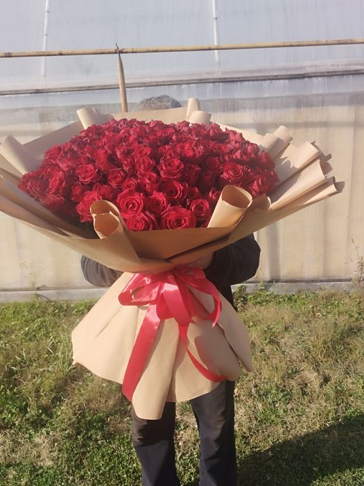 Тюльпаны Розы 51,101, от производителя