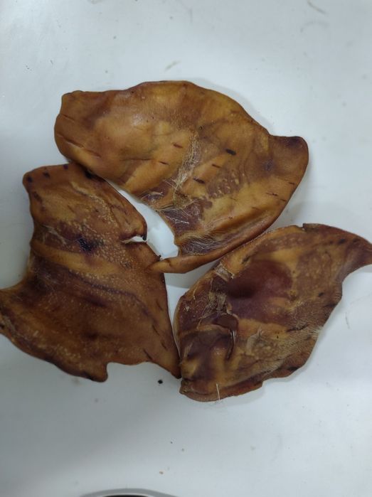 Sprzedam uszy wieprzowe suszone