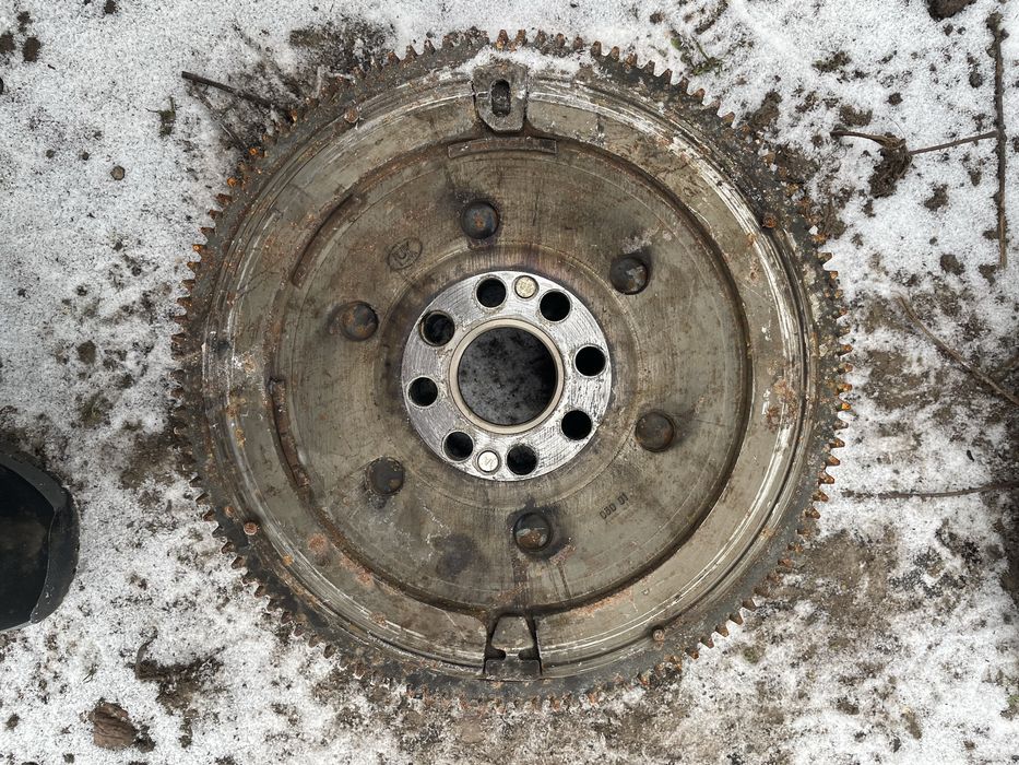 Продам щеплення М47