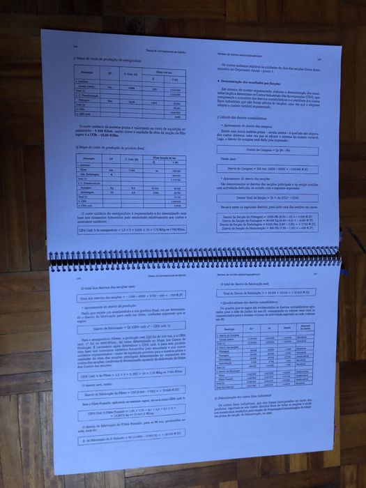 Temas de Contabilidade de Gestão (impresso)
