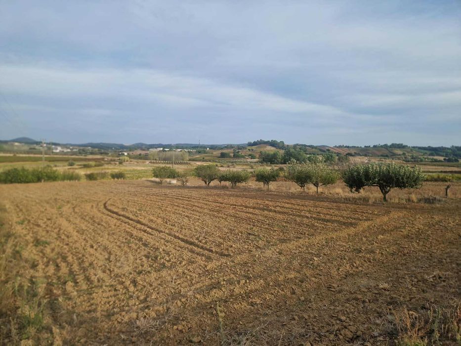 Terreno rústico (Faceira)