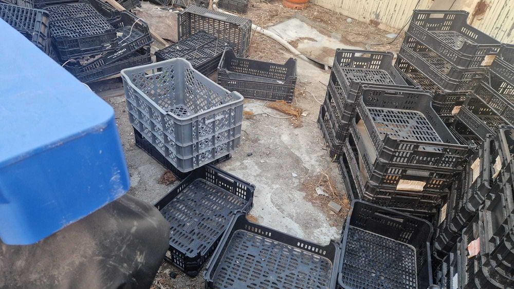 Caixas plasticas para fruta
