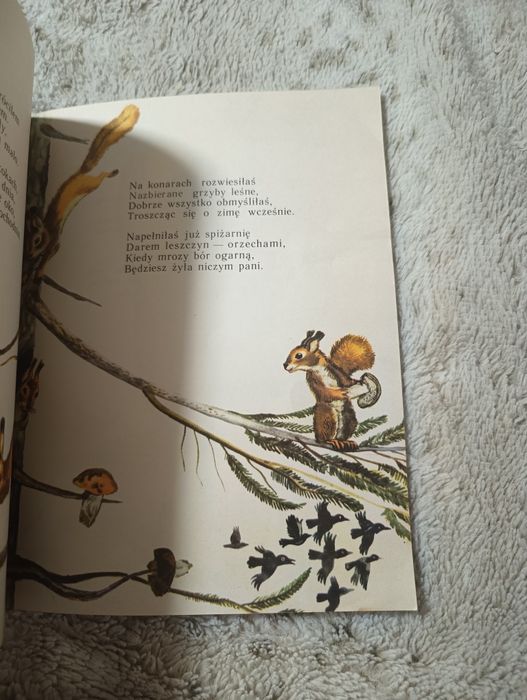 Nad ojczystą rzeką