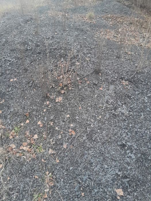 Залишок вугілля продам