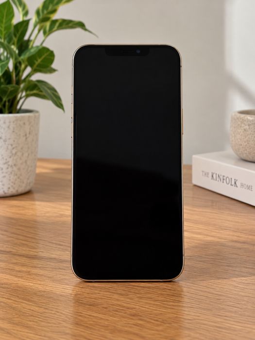 iPhone 12 Pro Max – 100% Funcional