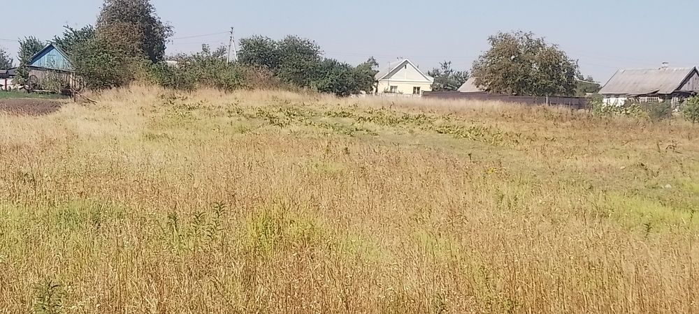 Продам земельну ділянку Глибочиця.