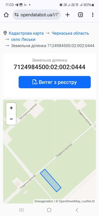 Ділянка в Черкаси с. Леськи Черкаська обл