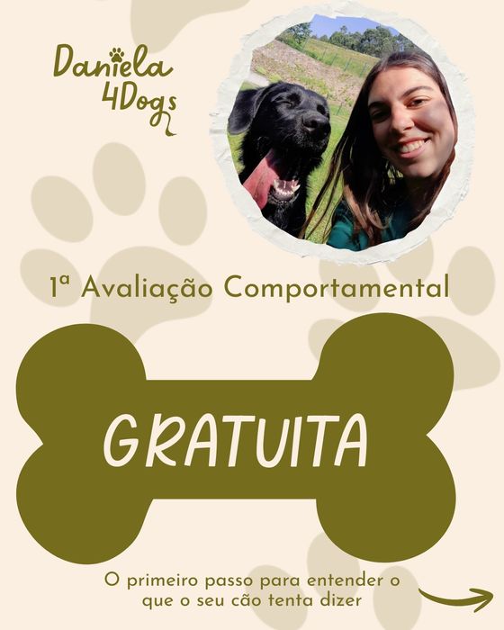 Treino e comportamento canino65565664944003120